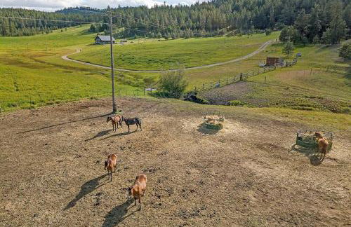 Eagle's Roost Cabin - Eden Valley - Foto 10
