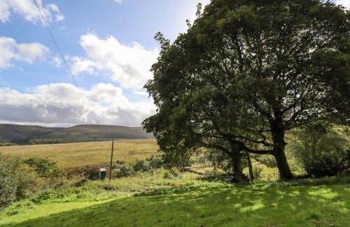 The Shearer's Hut - Photo 29