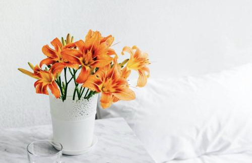 Cool Covent Garden Theatre Design Hub for Families Friends Couples - Foto 20