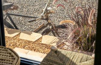 Alfarrobeiras NATURE - Photo 35