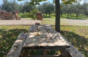 Le Ghiande - Foto 70