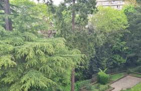 Pause Chézine - Foto 24