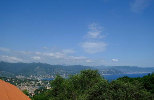 Casa Collina by PortofinoVacanze - Foto 10