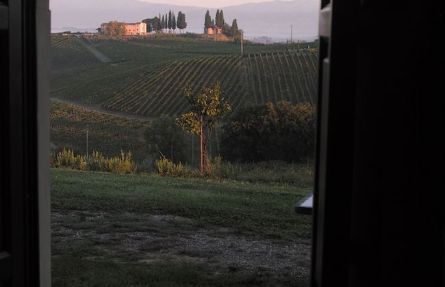 Agriturismo Musignano - Foto 51