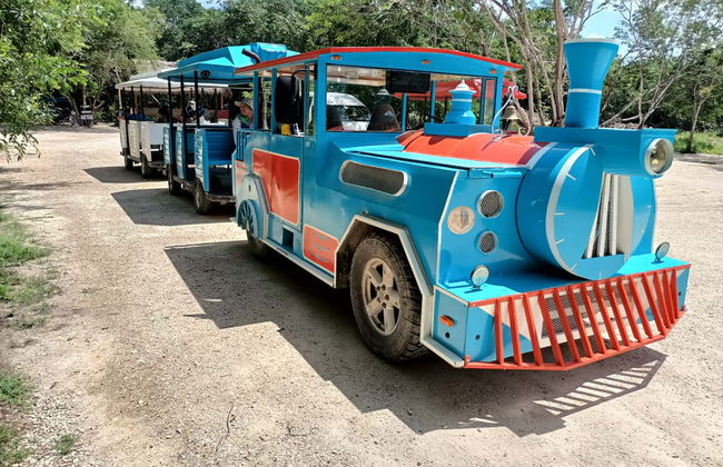 Excursión a los cenotes de Santa Bárbara - Foto 5