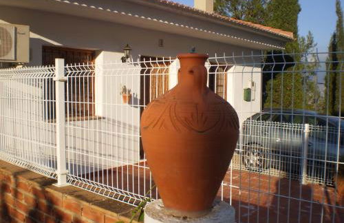 La Atalaya de Los Romanes - Foto 27