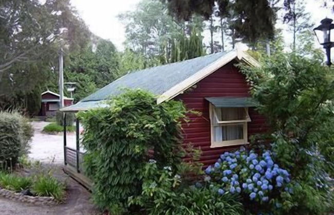 Cedar Lodge Cabins - Foto 11