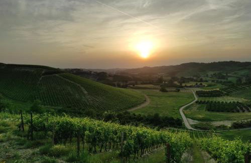 Oasi del Monferrato - appartamento verde - Foto 15