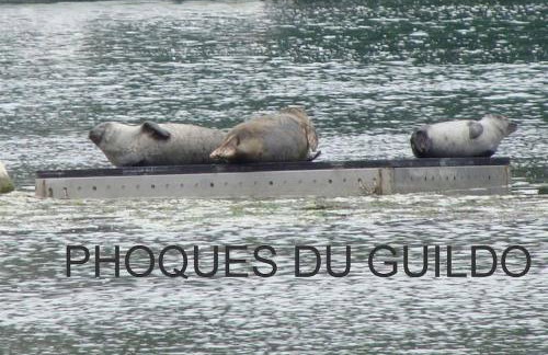 Gîte chambre Matignon 2-4 pers 5 kms mer spa - Foto 22