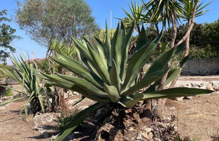 La Torretta di Ognina - Foto 26