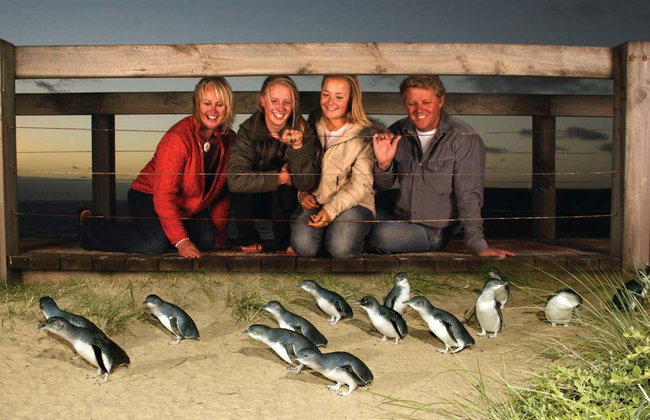 Biglietti per Phillip Island Nature Park - Foto 3