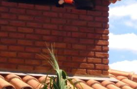 Casa de campo em Furnastur - Foto 32