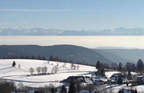 Apartment in Dachsberg-urberg - Foto 32