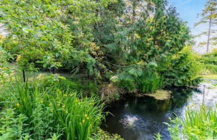Penn Cove Overlook by Avantstay Cabin w/ Views - Foto 53