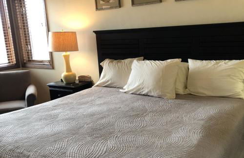 The Rushes - Foto 127