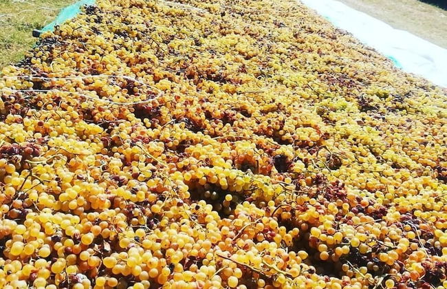 Agriturismo Nereide Ceratti - Foto 11