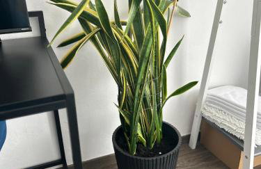 Mintara Apartment Charme der Stadt Parkplatz Netflix und Sky - Foto 9