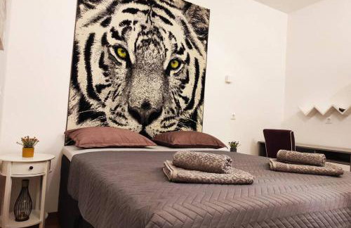 Spacious apartment near city center and the beach - Photo 16