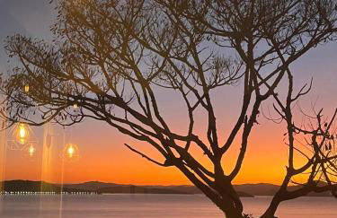 Loft com Vista Mar espetacular! - Ponta das Canas - Próx Lagoinha e Brava - Photo 15