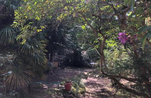 Grande maison familiale, calme, tranquille, 900 m de la plage - Foto 39