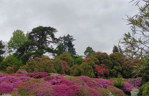 La casa al lago BMOR love&lake - Foto 46