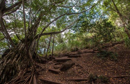 36Fl with Ocean View, Mins to Waikiki Beach, Parking - Foto 132