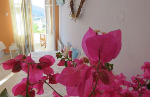 Korali apartments - Foto 16