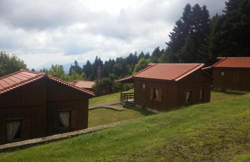 Livadaki Village - Δασικό Χωριό Λιβαδάκι - Foto 60