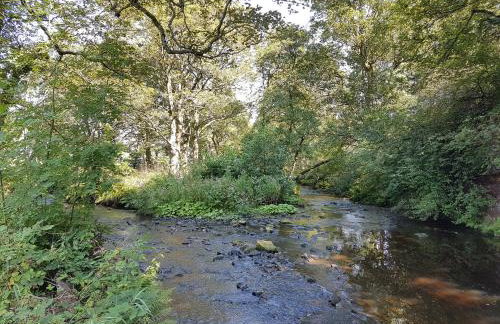 Bullace Barn - Foto 61