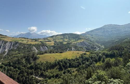 T2 au coeur du Sauze - Foto 11