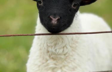 Nᴼ 21 Beautiful Cosy Modern Traditional Cottage - Photo 48