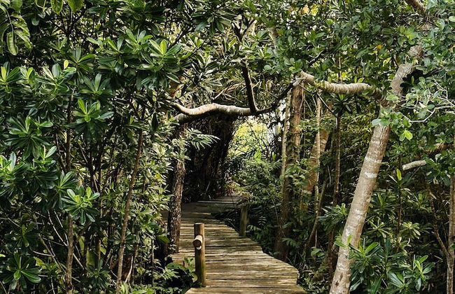 Casa da Mata Corumbau - Photo 40