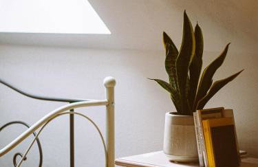 Przewietrzona Głowa - Foto 21