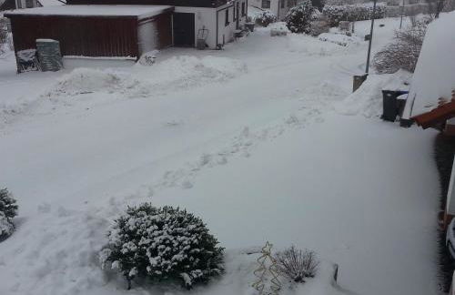 Mayntz' Albjuwel - Foto 10