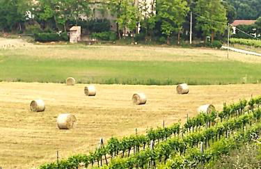 Le Ortensie Lago di Garda - Photo 25
