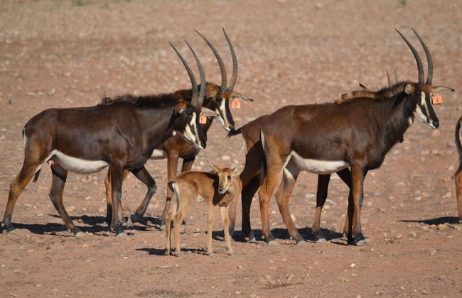 Berluda Farmhouse & Cottages - Photo 52