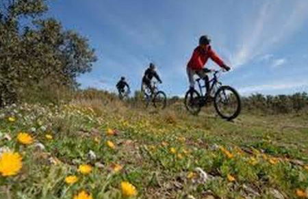 Gîte de Romagers - Foto 20