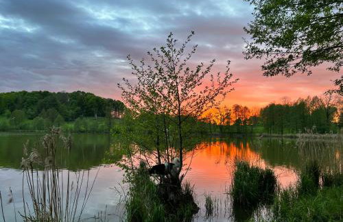 Park Wilkasy - Foto 54