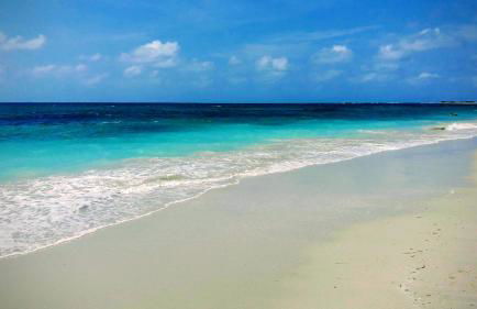 Home Green - Foto 42