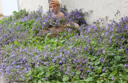 Ferienidyll Aumühle, "Bebenburg" - Foto 36