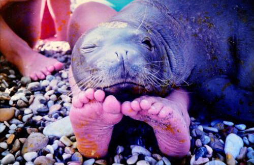 Pension Votsi - Photo 24