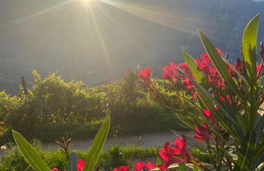 Agritur Chalet Belvedere - Foto 28