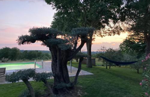 Villa Oliva Istria - Foto 38