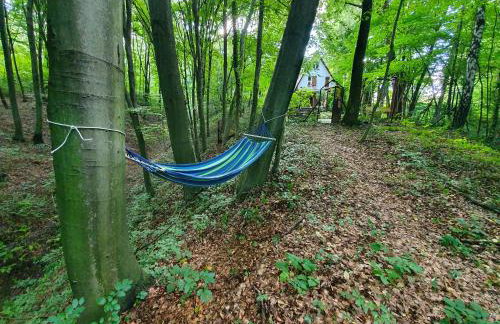 Leśny Zakątek - Foto 25