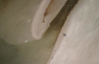 Zen Sasino - Foto 60