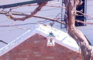 Charming House with Pool in Montilla - Foto 77