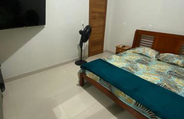 Festival de Parintins -2025 - Foto 1