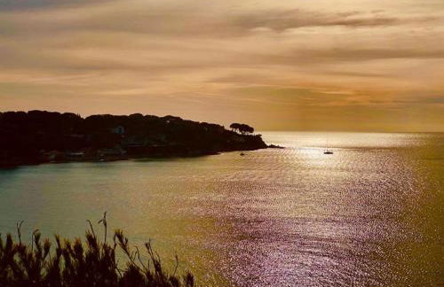 VUE MER EXCEPTIONNELLE - GRANDE TERRASSE et PISCINE - Foto 23