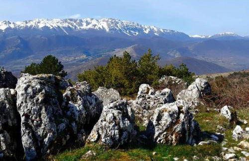 Vivi la natura PT - Photo 8