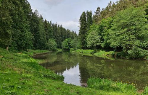 Rainforest Cottage - Photo 27